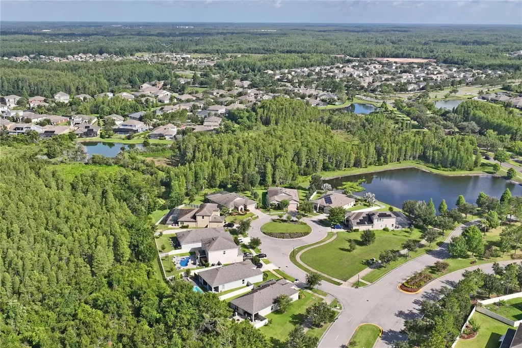21627 Pearl Crescent Court Land O Lakes FL 34637