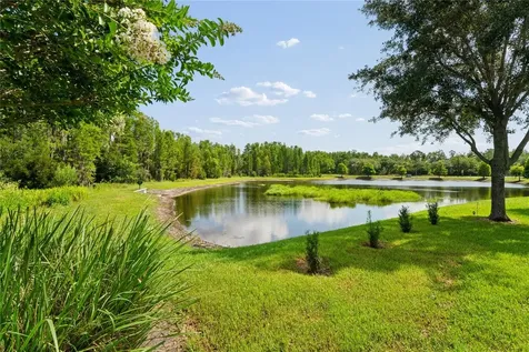 21627 Pearl Crescent Court Land O Lakes FL 34637