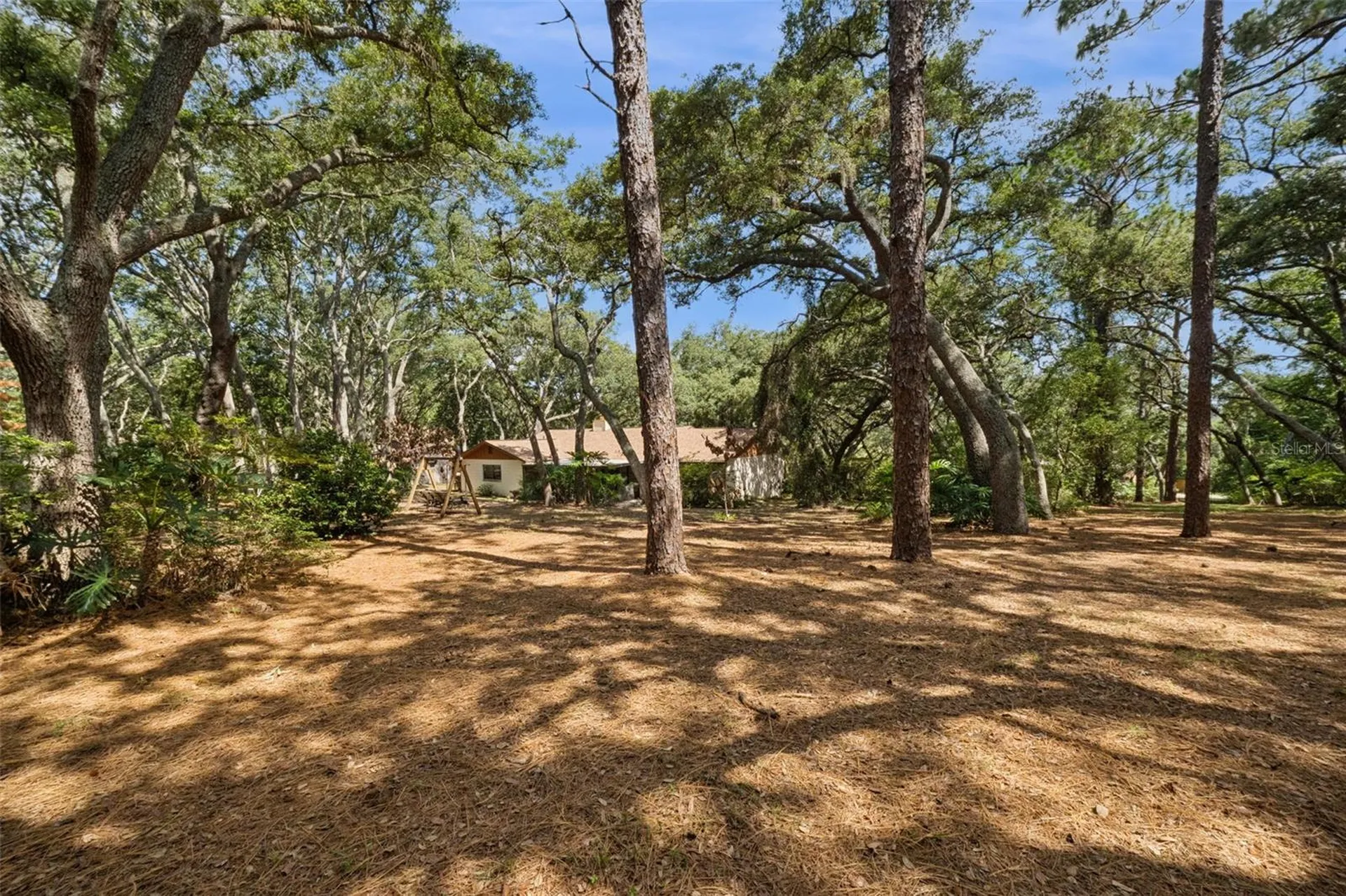 17056 Red Bird Road Winter Garden FL 34787