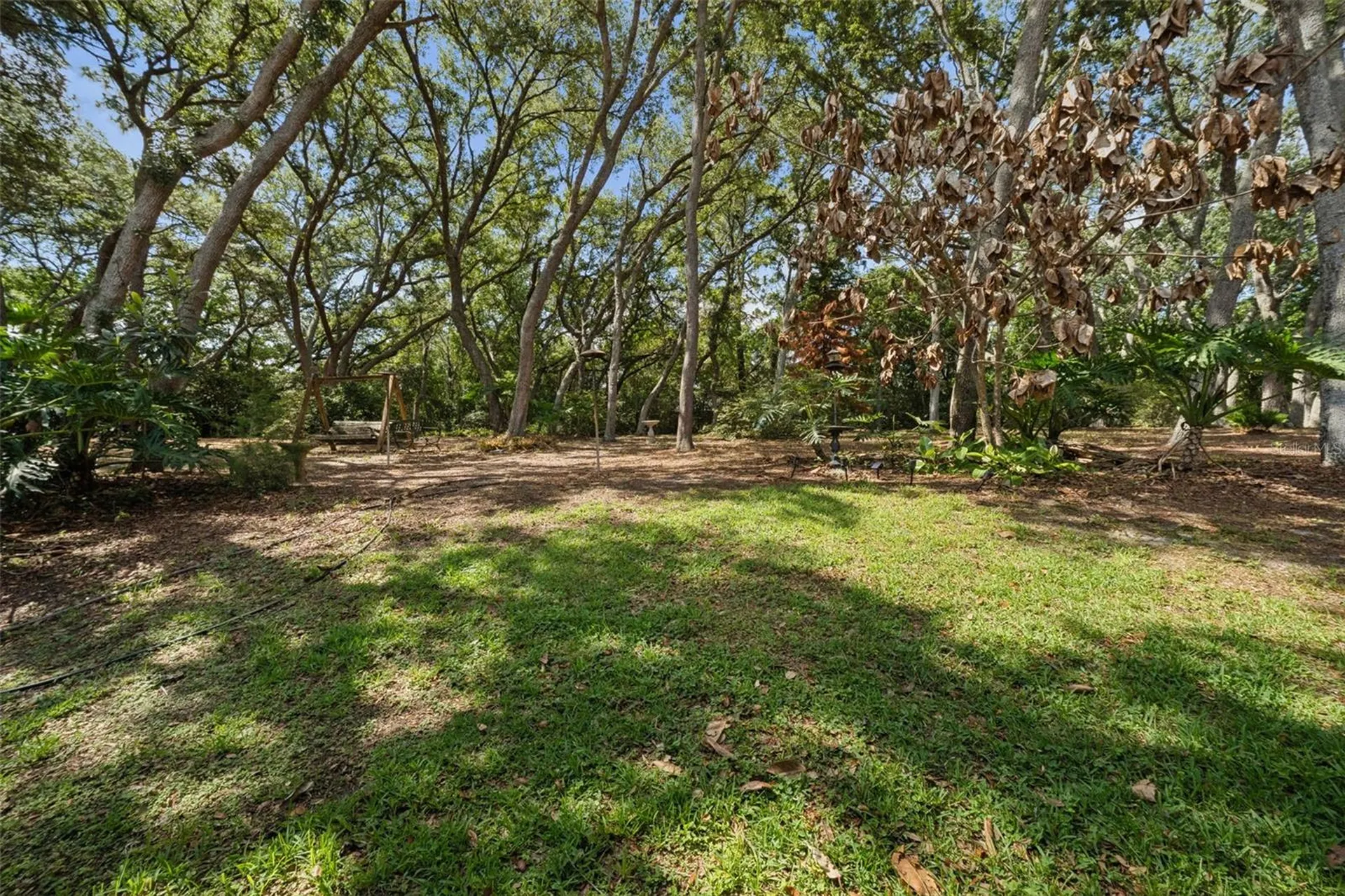 17056 Red Bird Road Winter Garden FL 34787