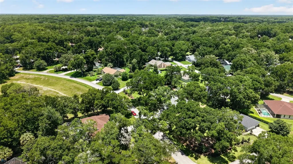 19025 SW 98th Loop Dunnellon FL 34432