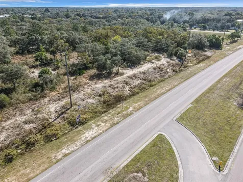 0000 Little Hudson FL 34667