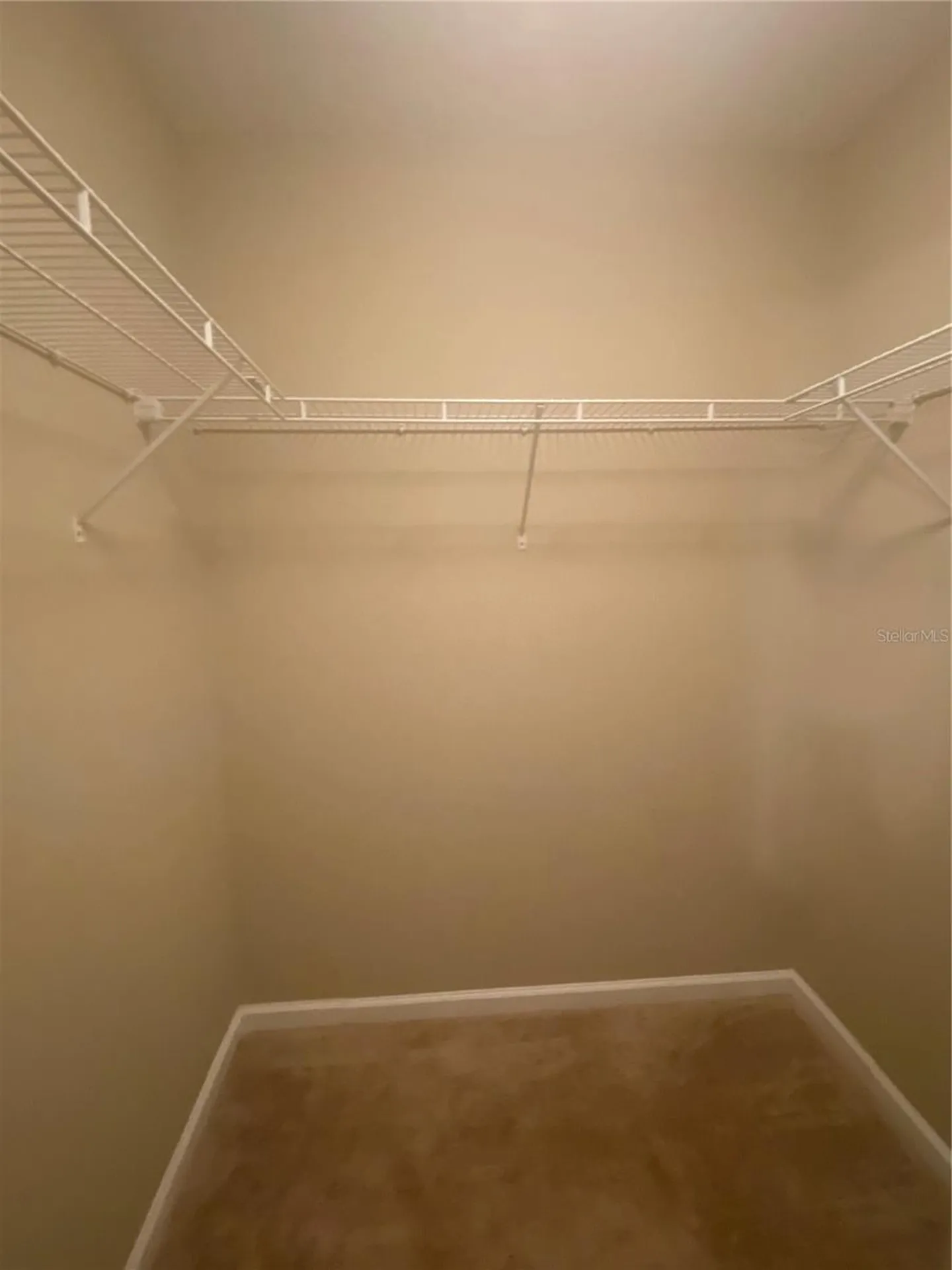 16339 Old Ash Loop Orlando FL 32828