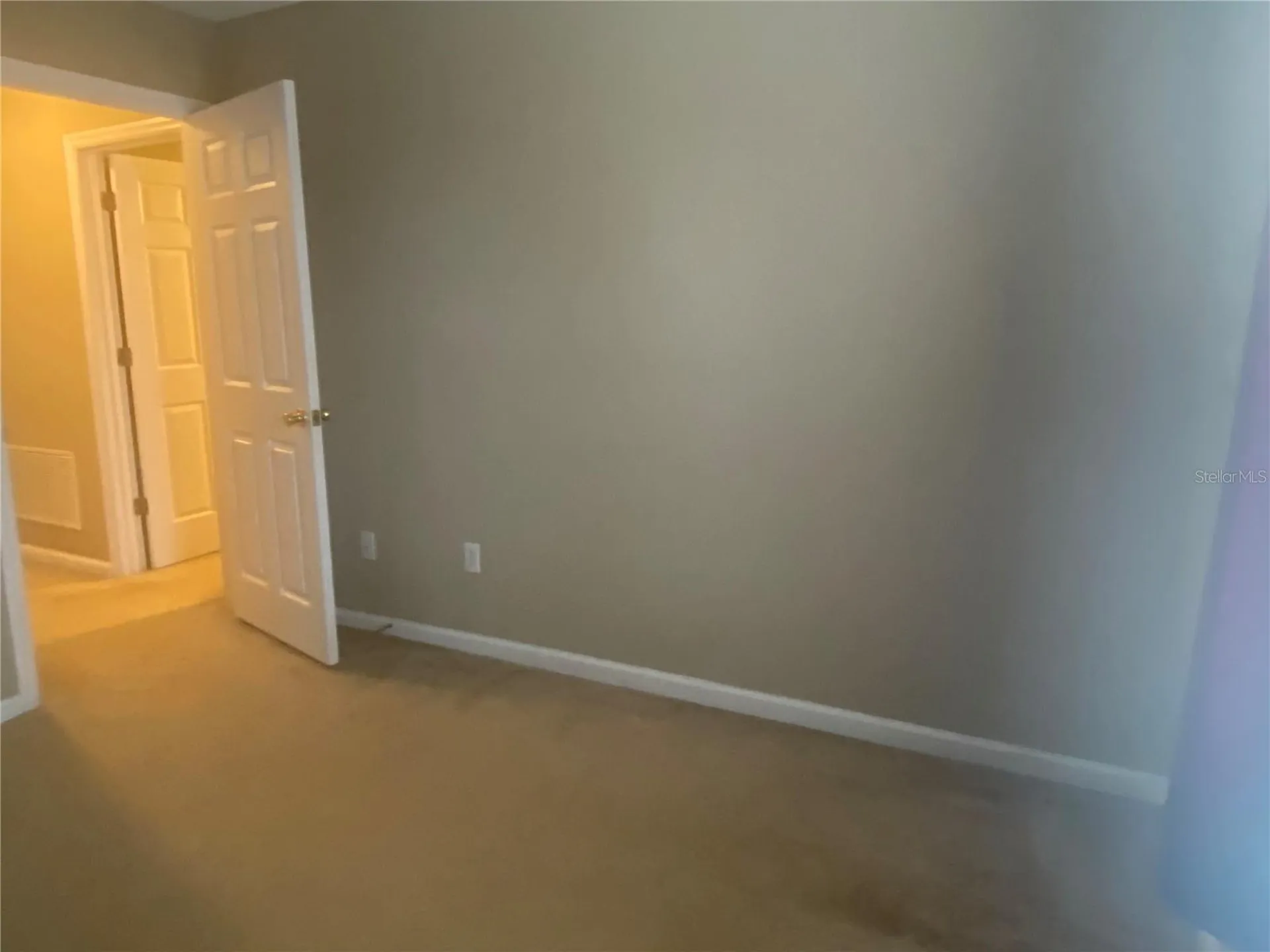 16339 Old Ash Loop Orlando FL 32828