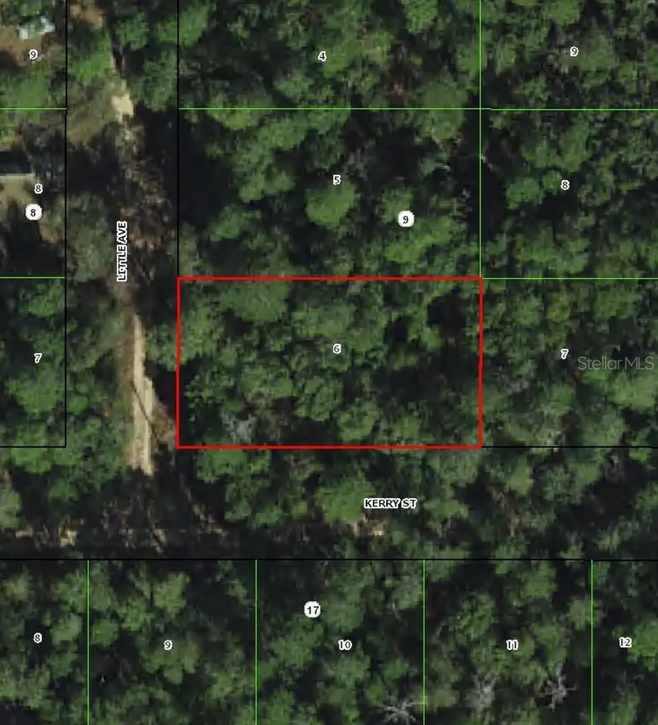 306 Little Avenue Inverness FL 34452