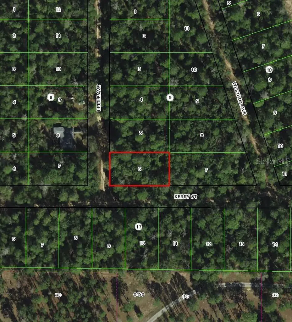 306 Little Avenue Inverness FL 34452