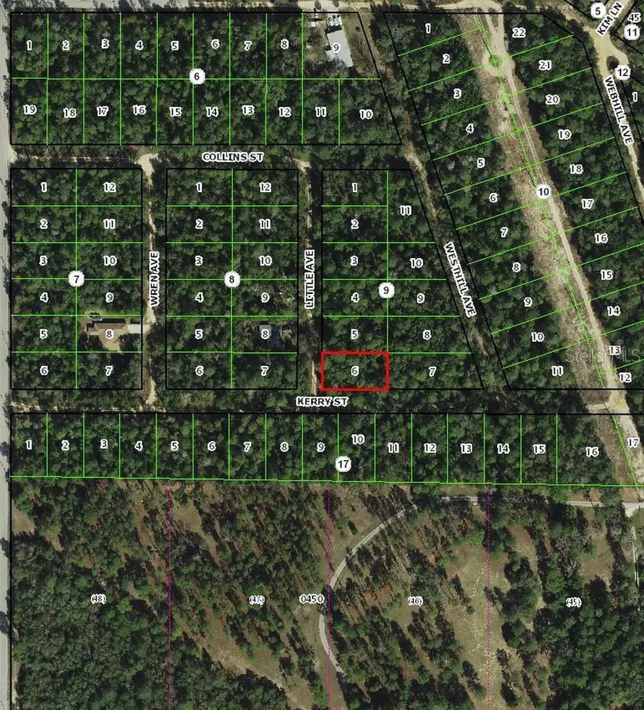 306 Little Avenue Inverness FL 34452