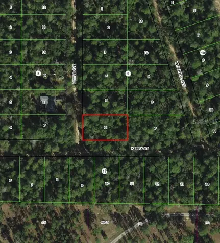 306 Little Avenue Inverness FL 34452