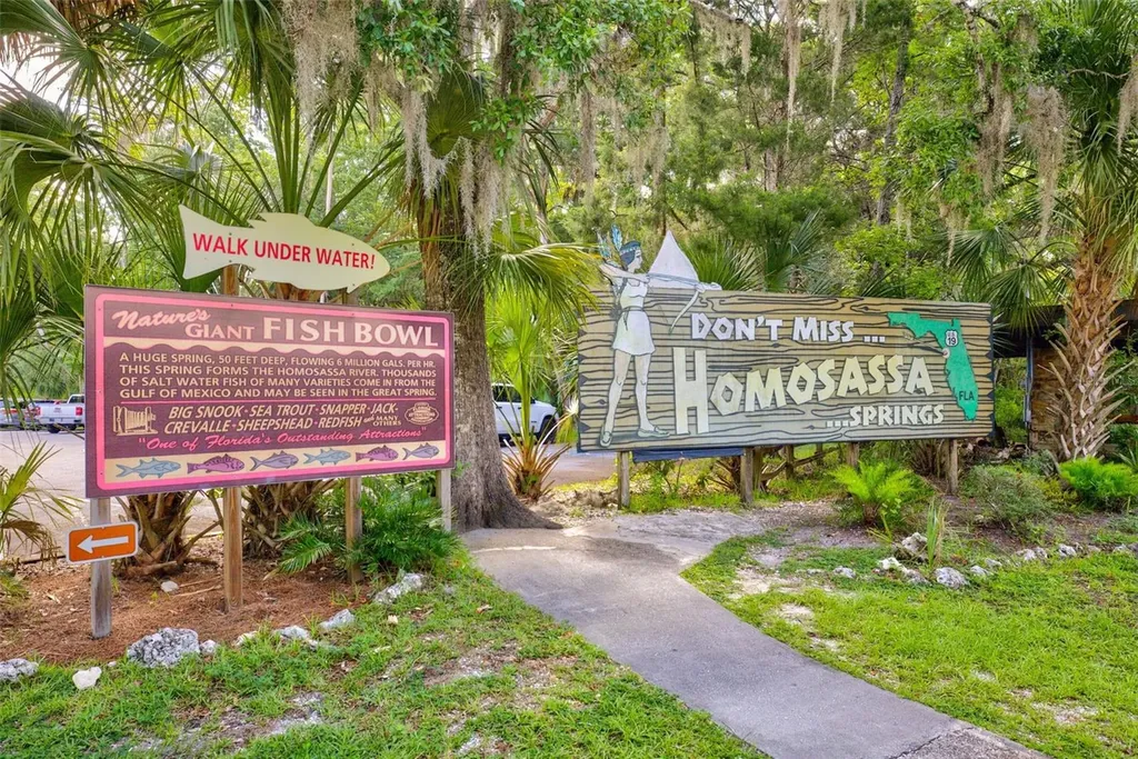 4586 S Flambeau Loop Homosassa FL 34448