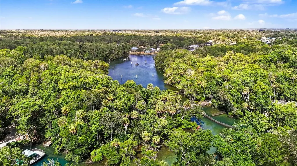 4586 S Flambeau Loop Homosassa FL 34448