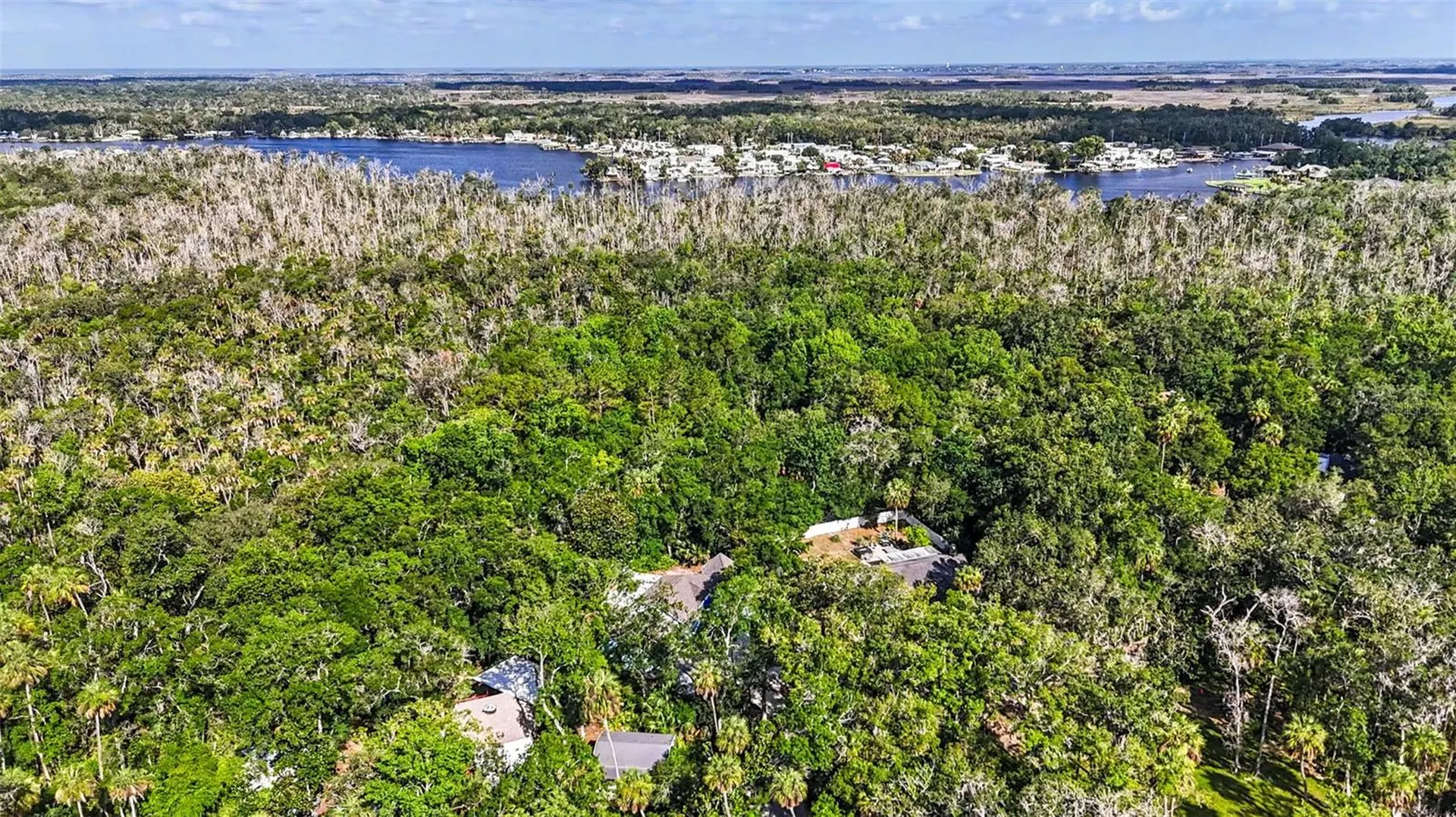 4586 S Flambeau Loop Homosassa FL 34448