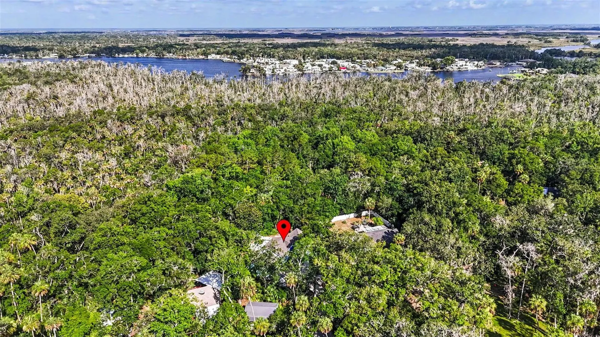 4586 S Flambeau Loop Homosassa FL 34448