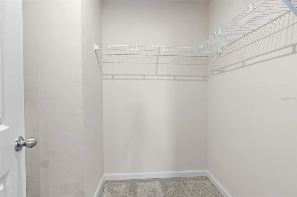 12003 Grizzly Lane New Port Richey FL 34654