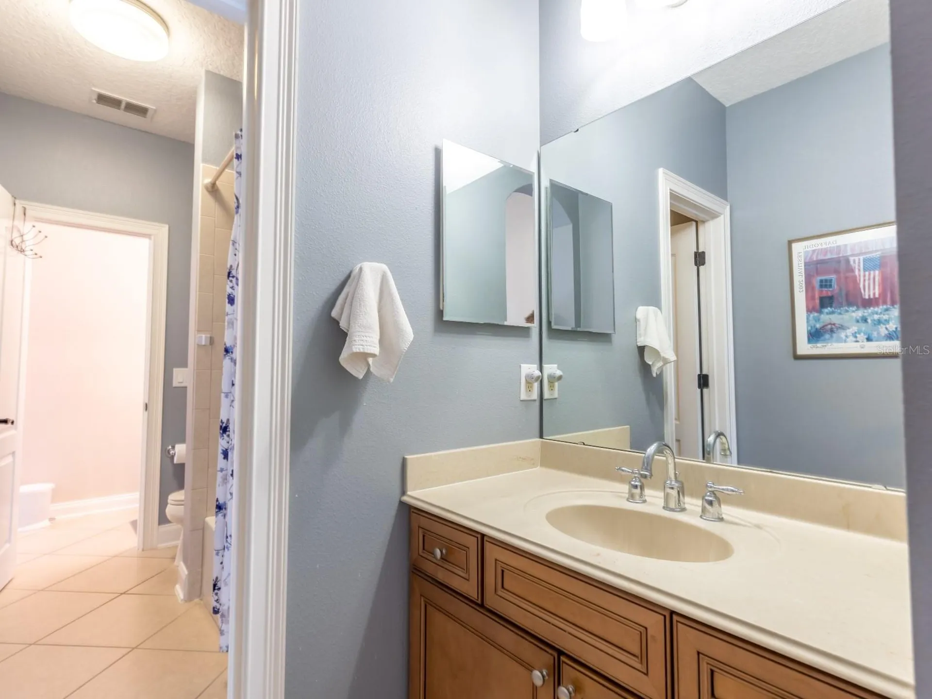 25846 Feather Ridge Lane Sorrento FL 32776