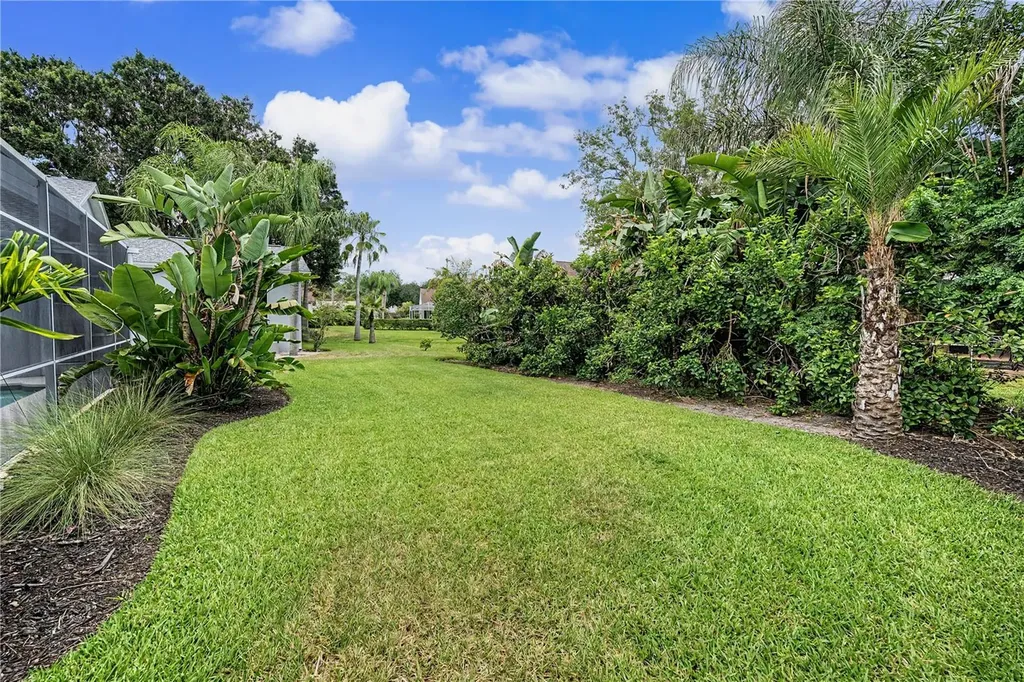 3692 Johnathon Avenue Palm Harbor FL 34685