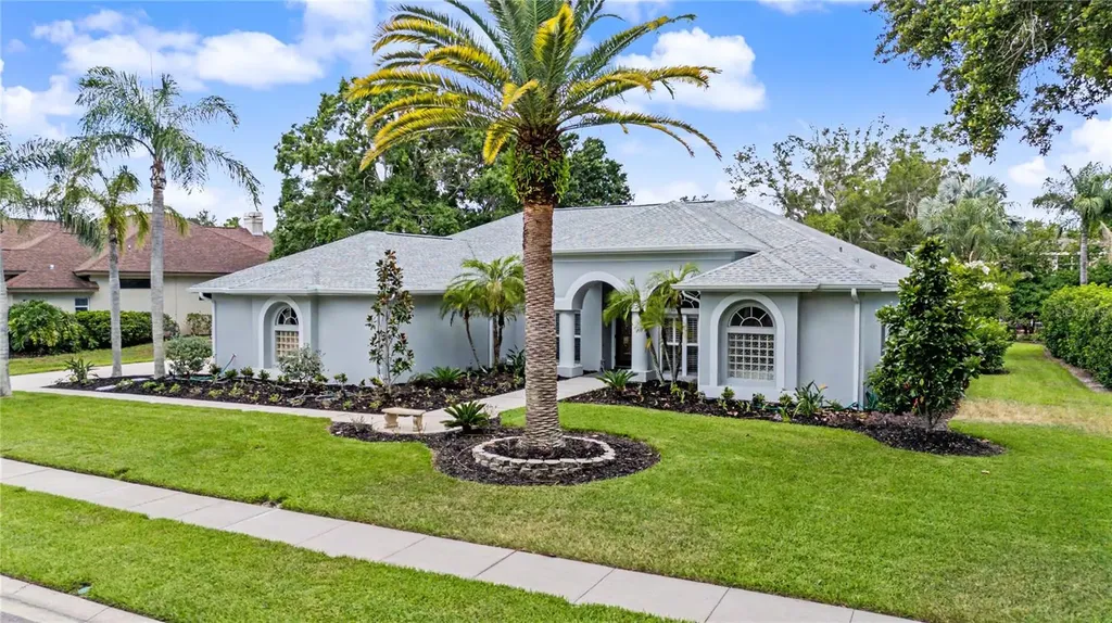 3692 Johnathon Avenue Palm Harbor FL 34685