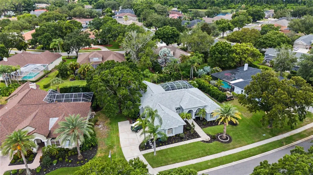3692 Johnathon Avenue Palm Harbor FL 34685