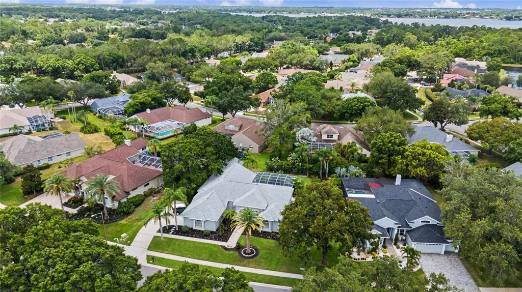 3692 Johnathon Avenue Palm Harbor FL 34685