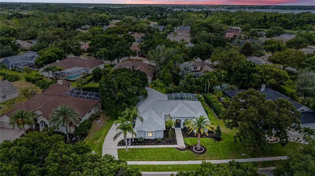 3692 Johnathon Avenue Palm Harbor FL 34685