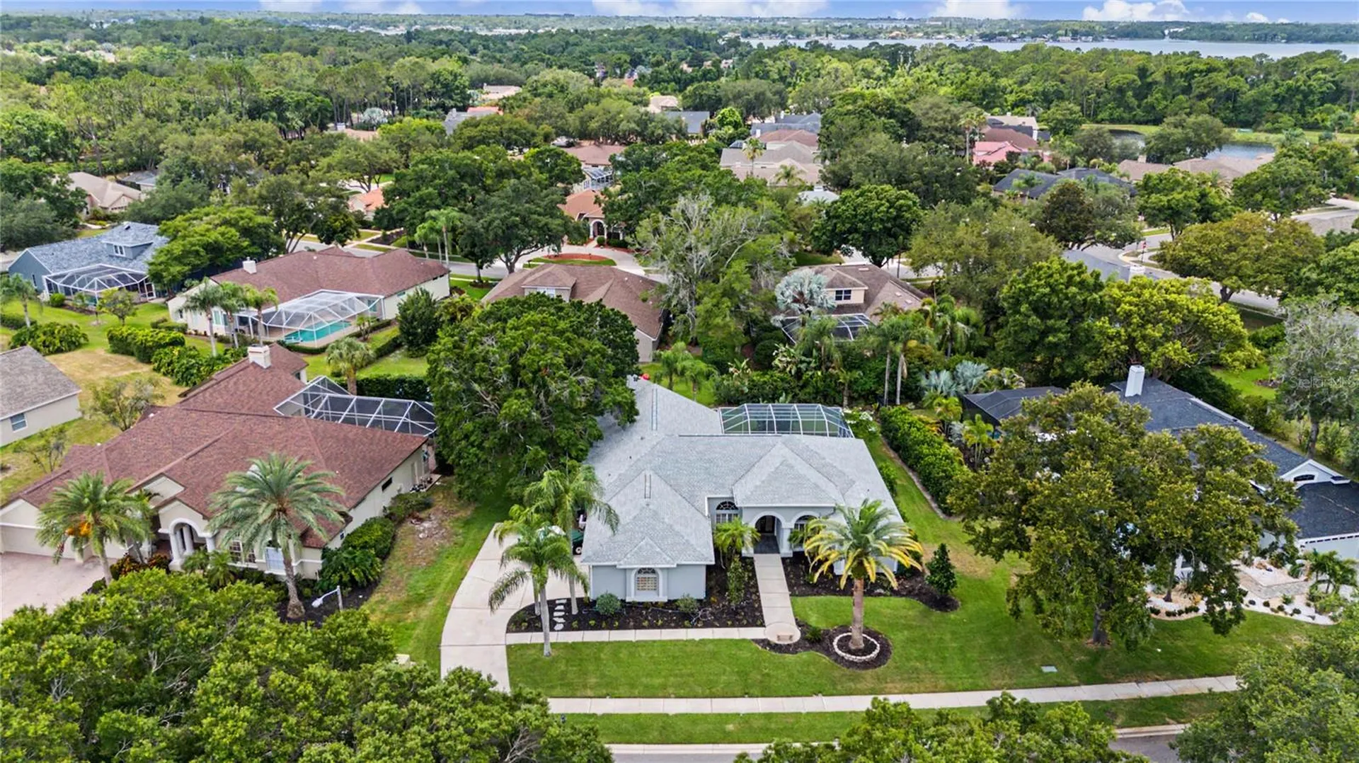 3692 Johnathon Avenue Palm Harbor FL 34685