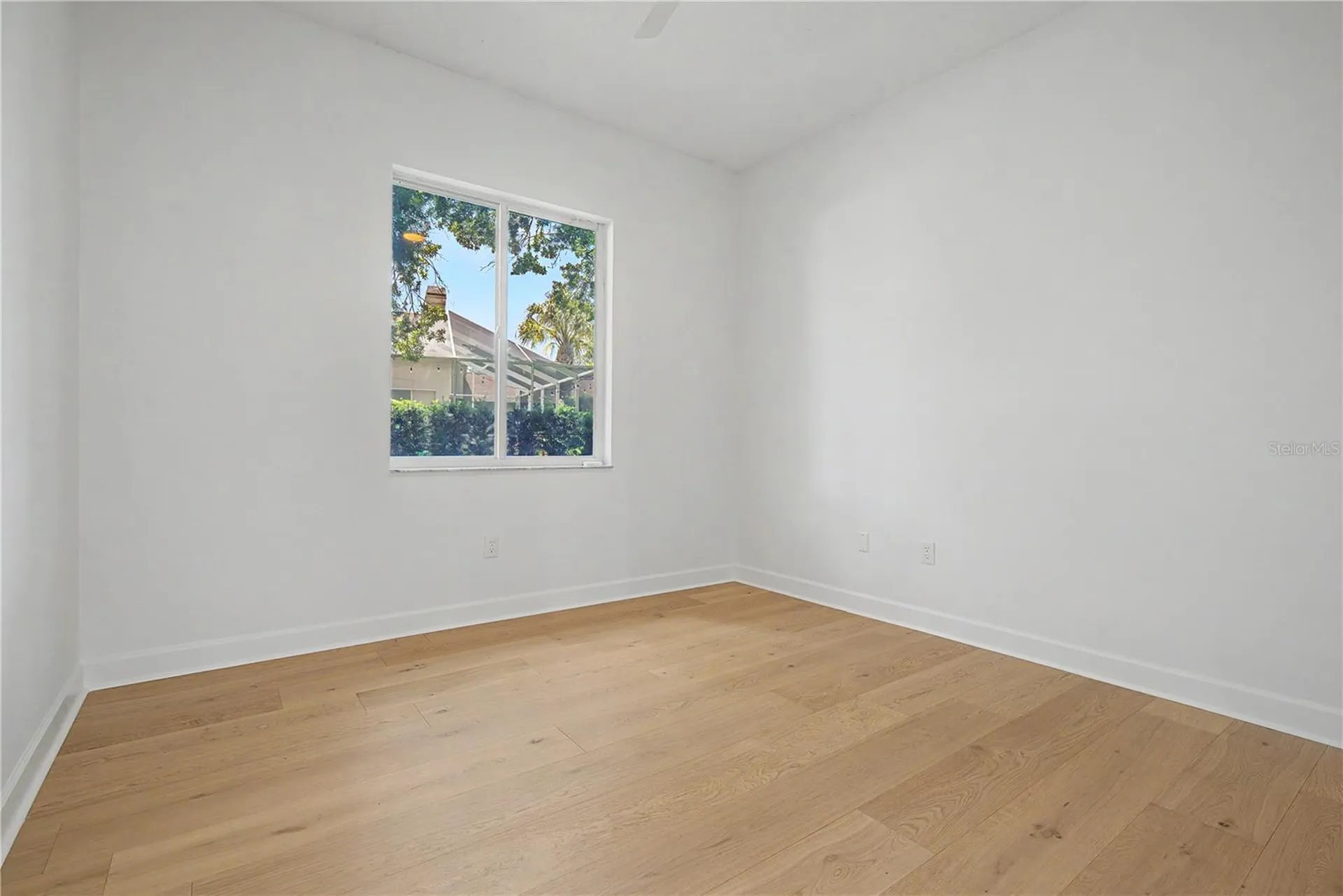 3692 Johnathon Avenue Palm Harbor FL 34685