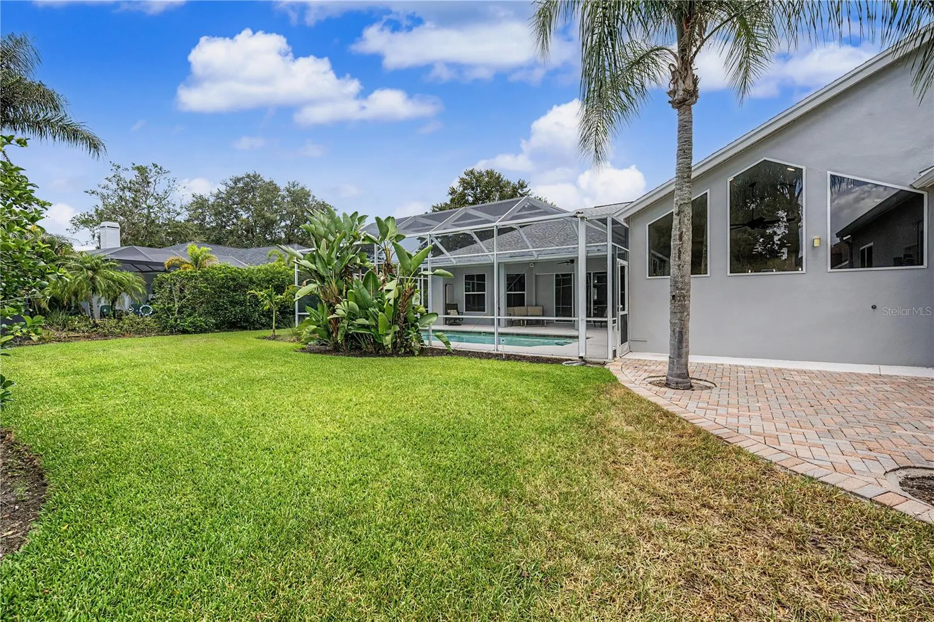 3692 Johnathon Avenue Palm Harbor FL 34685