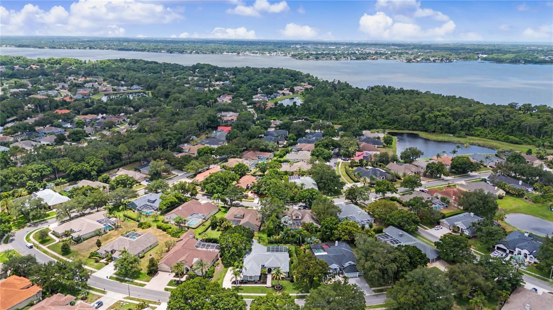 3692 Johnathon Avenue Palm Harbor FL 34685