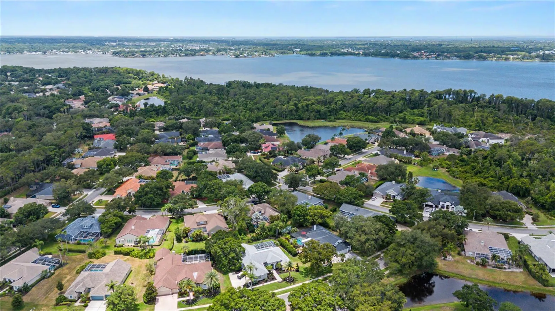 3692 Johnathon Avenue Palm Harbor FL 34685
