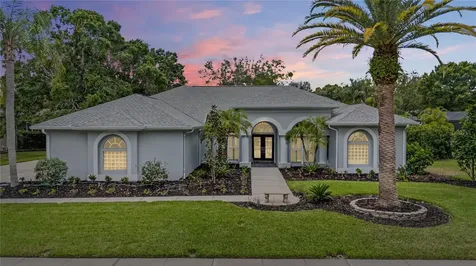 3692 Johnathon Avenue Palm Harbor FL 34685