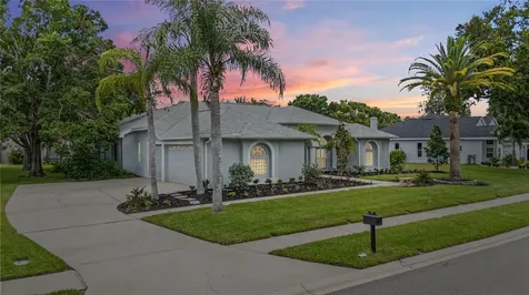 3692 Johnathon Avenue Palm Harbor FL 34685