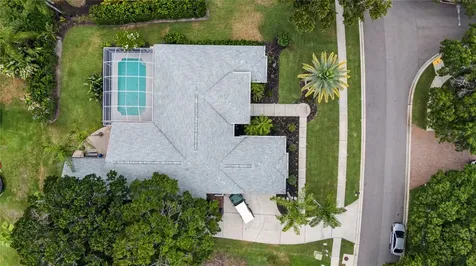 3692 Johnathon Avenue Palm Harbor FL 34685