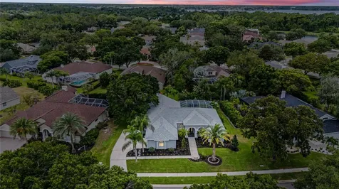 3692 Johnathon Avenue Palm Harbor FL 34685