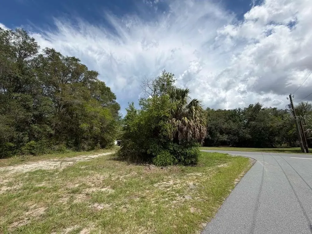 8549 N Buscetta Loop Crystal River FL 34428