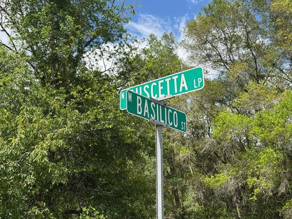 8549 N Buscetta Loop Crystal River FL 34428