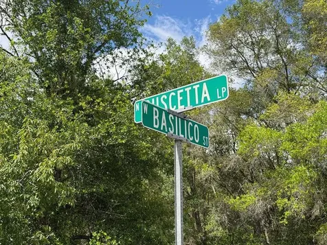 8549 N Buscetta Loop Crystal River FL 34428