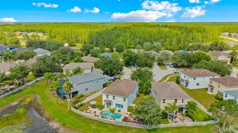 3505 Tarbolton Land O Lakes FL 34638
