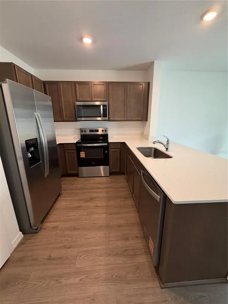 17213 English Chestnut Way Land O Lakes FL 34638