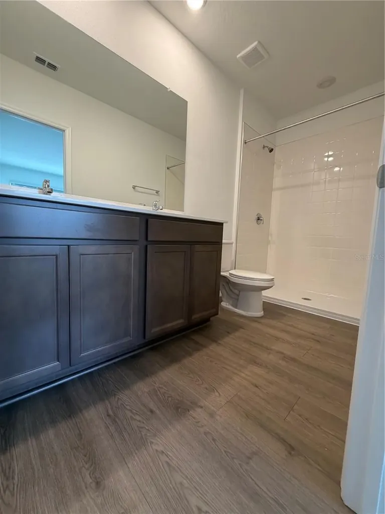 17213 English Chestnut Way Land O Lakes FL 34638