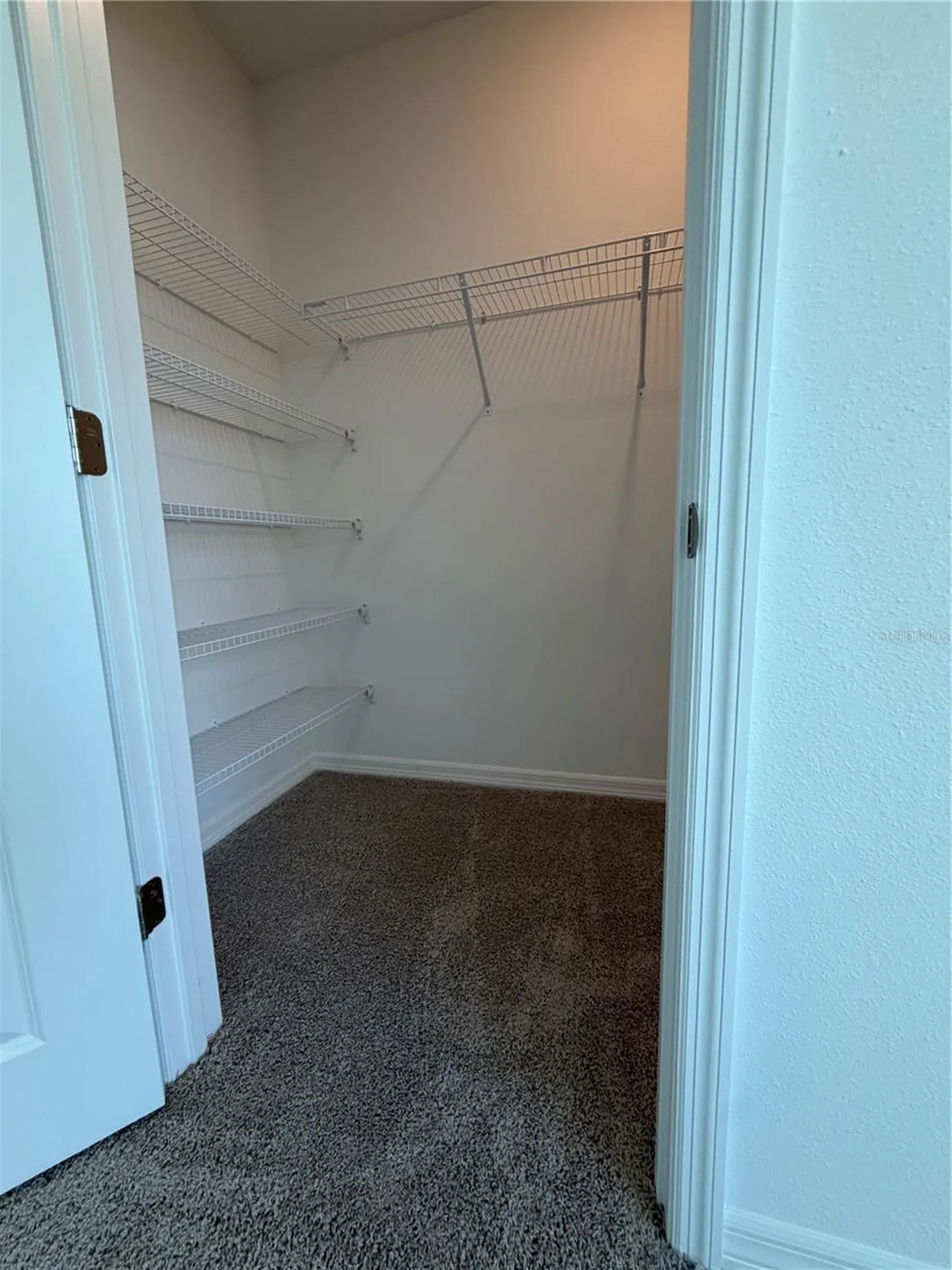 17213 English Chestnut Way Land O Lakes FL 34638