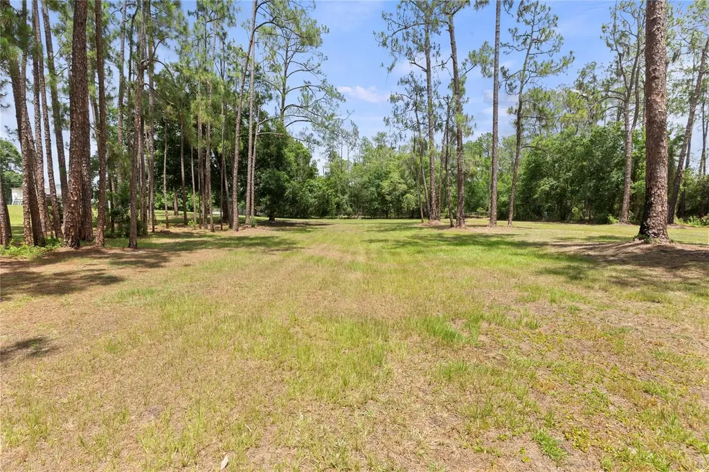 5360 Dillman Lane Polk City FL 33868
