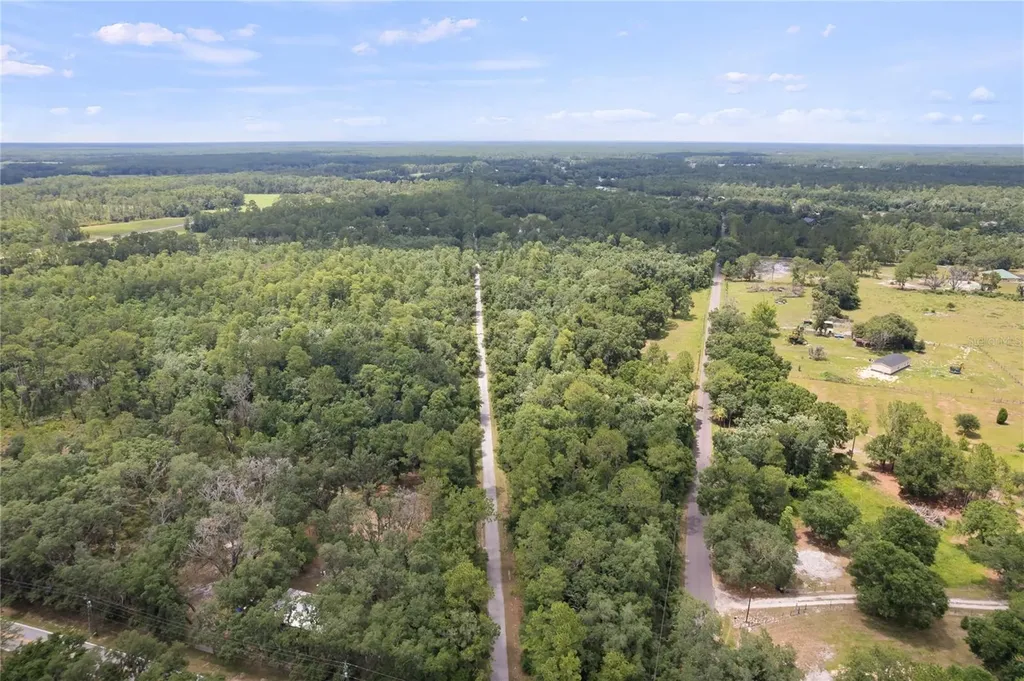 5360 Dillman Lane Polk City FL 33868