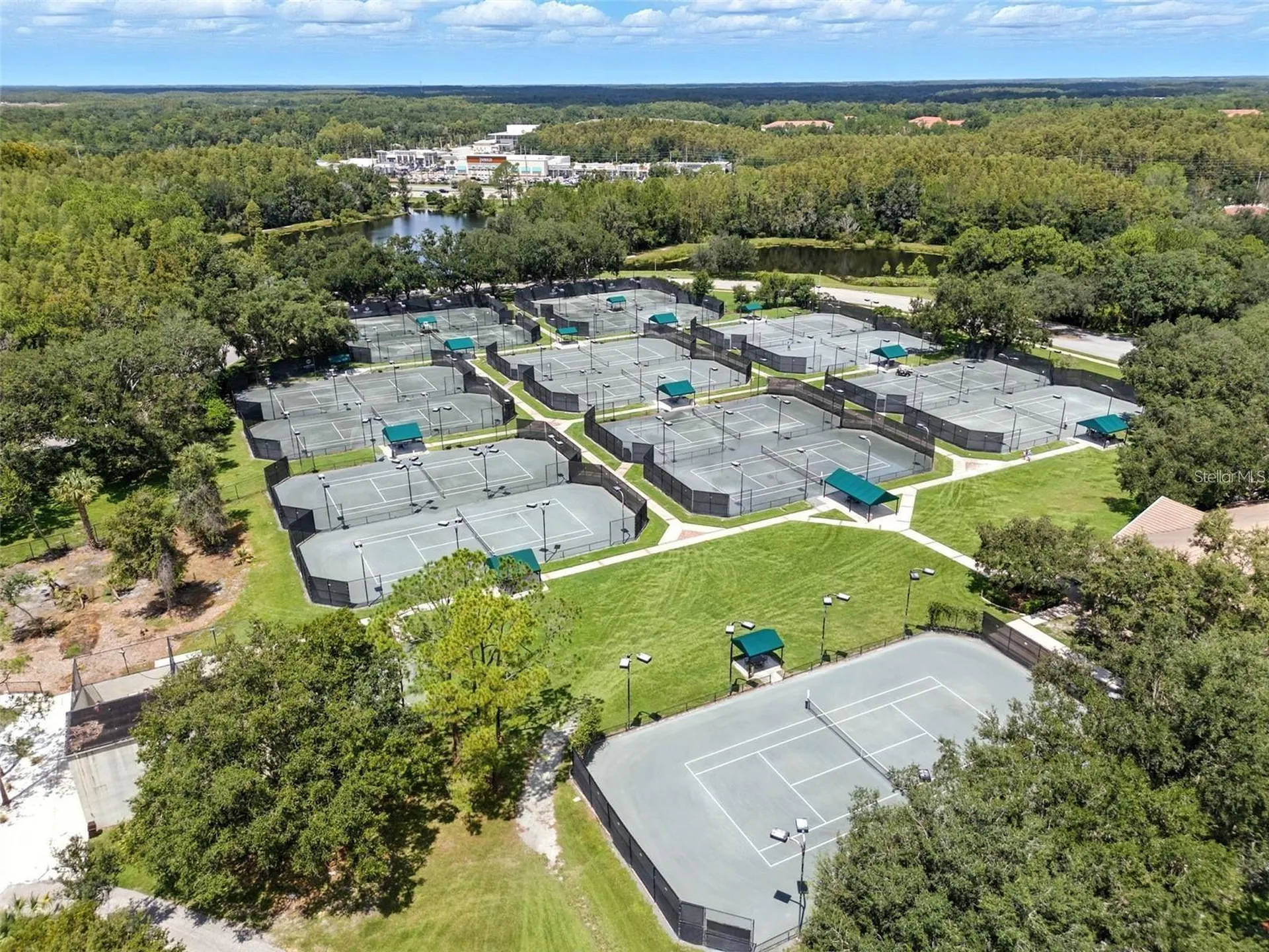 17722 Grey Eagle Road Tampa FL 33647