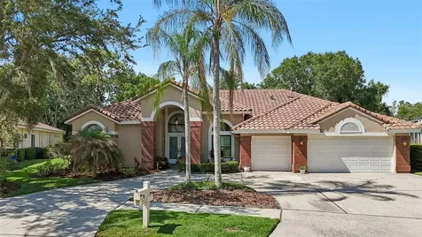 17722 Grey Eagle Road Tampa FL 33647