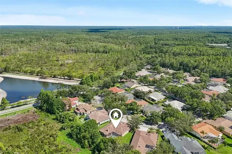 17722 Grey Eagle Road Tampa FL 33647