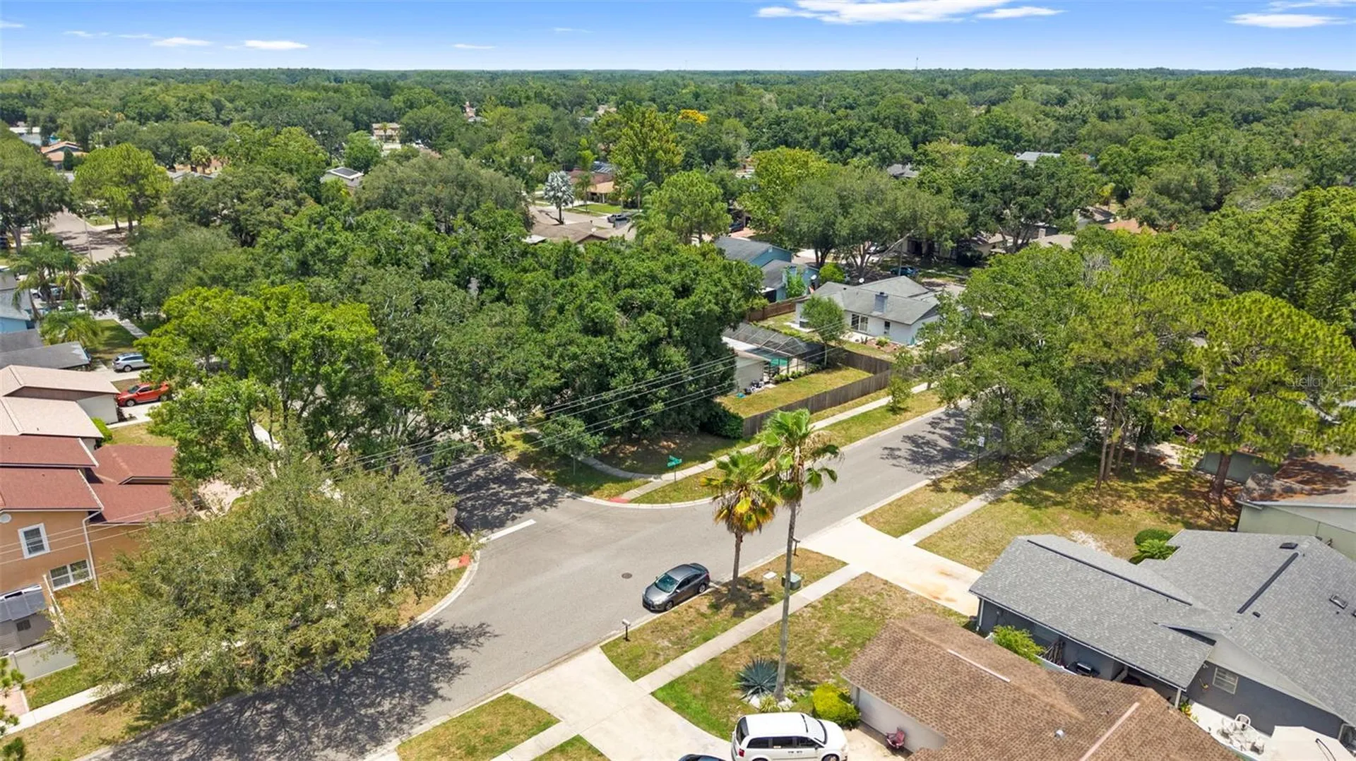 15701 Country Lake Drive Tampa FL 33624