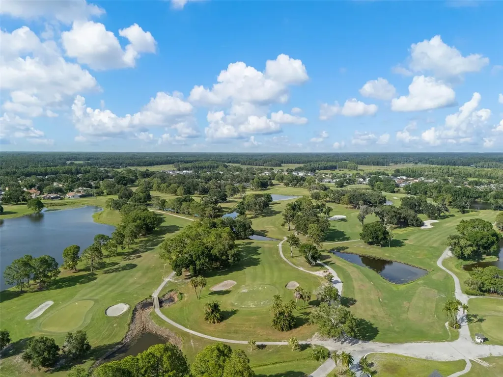15615 Shoal Creek Place Odessa FL 33556