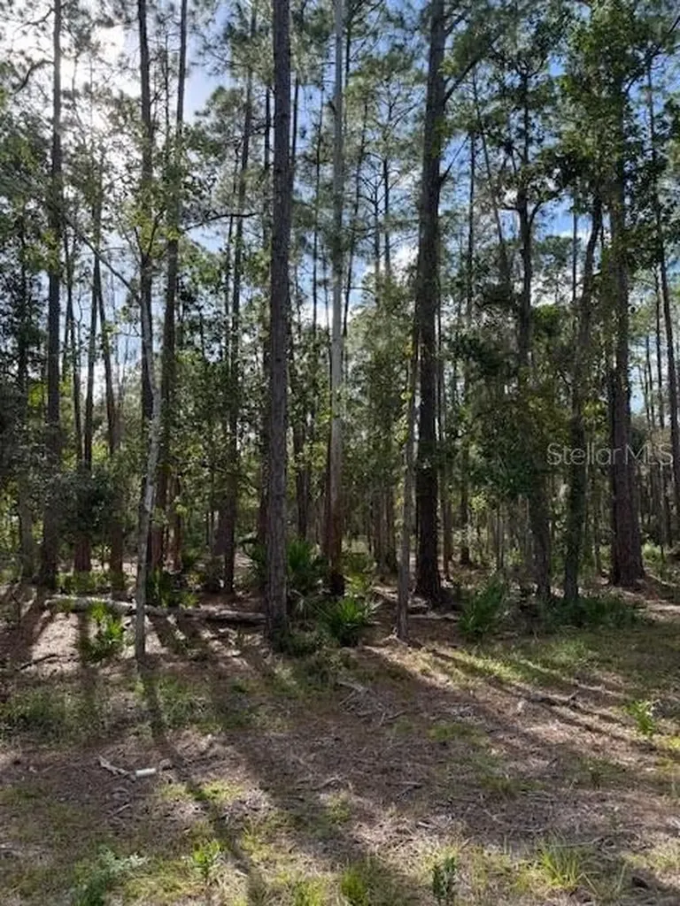 207 Ocala Court Georgetown FL 32139