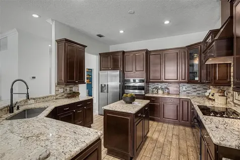 15004 Maurine Cove Lane Odessa FL 33556