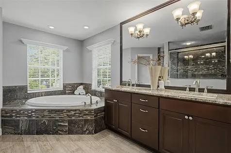 15004 Maurine Cove Lane Odessa FL 33556