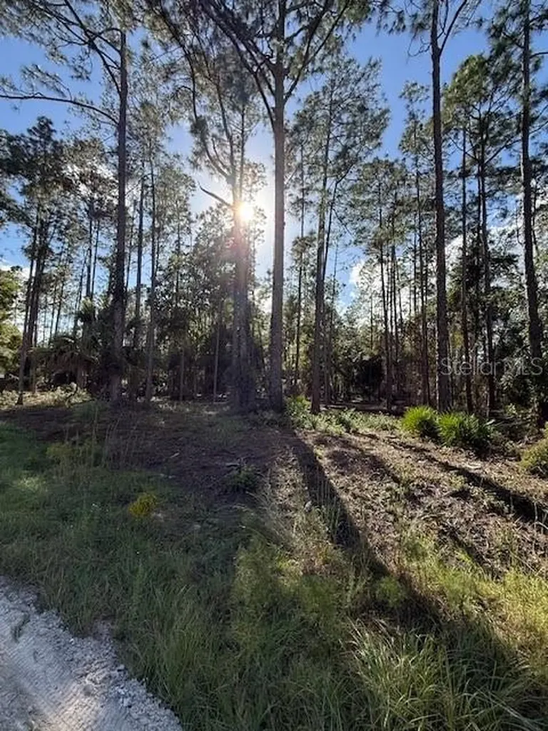 215 Hideaway Lane Georgetown FL 32139